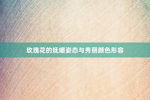 玫瑰花的妩媚姿态与秀丽颜色形容