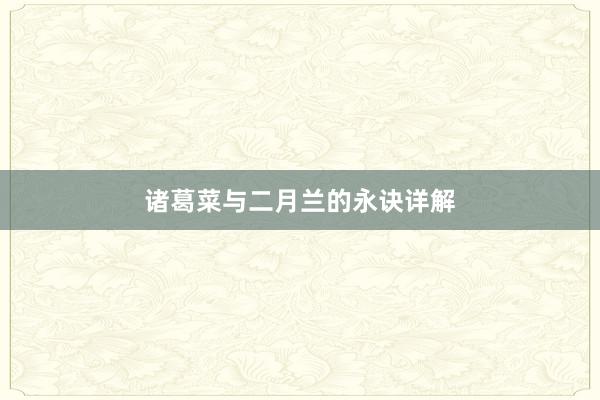 诸葛菜与二月兰的永诀详解