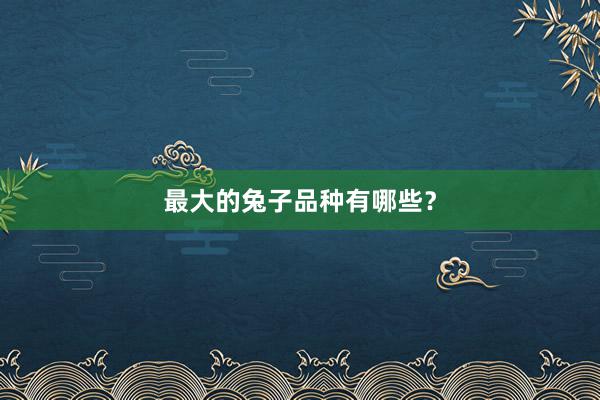 最大的兔子品种有哪些？